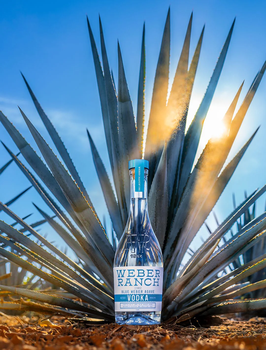 Weber Ranch 1902 "Blue Weber Agave" Vodka - Image 2